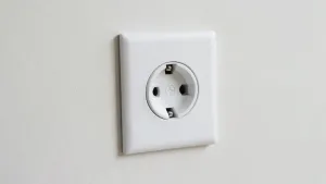 ile za punkt elektryczny